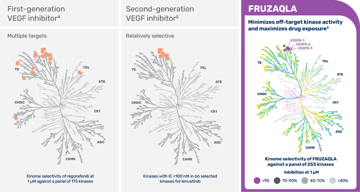 Selectivity of FRUZAQLA®. First-generation VEGF inhibitors often have multiple targets, while second-generation VEGF inhibitors tend to be relatively selective. FRUZAQLA® minimizes off-target kinase activity and maximizes drug exposure.